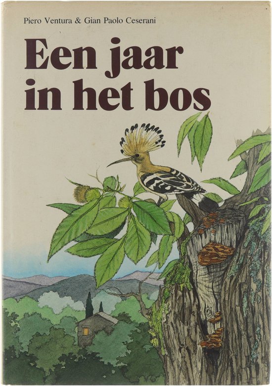 Een jaar in het bos