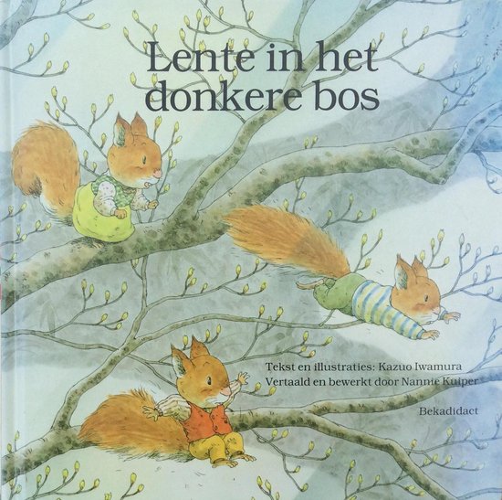 Lente In Het Donkere Bos