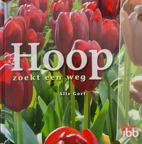 Hoop zoekt een weg