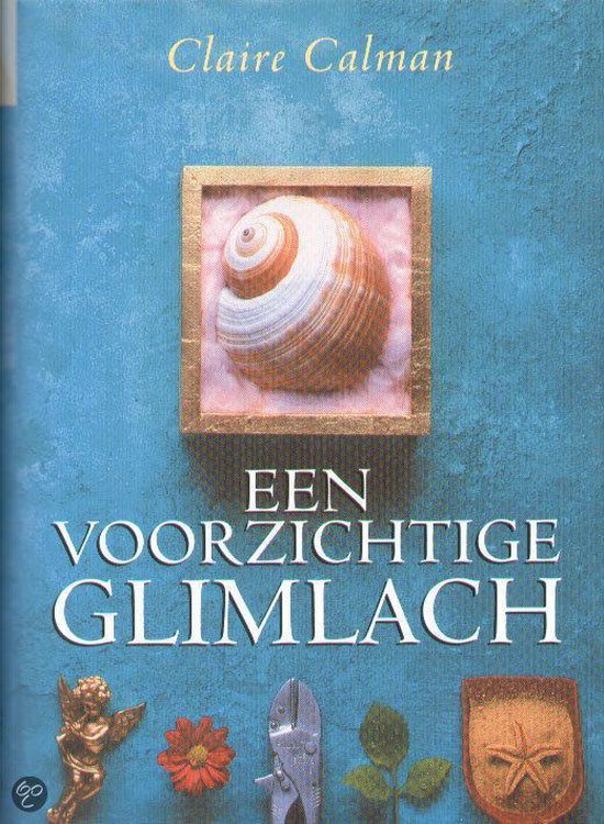 Voorzichtige Glimlach