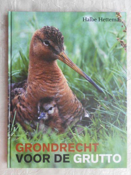 Grondrecht Voor De Grutto