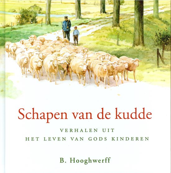 Schapen van de kudde