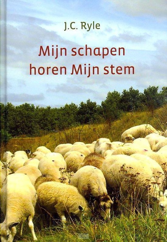 Mijn schapen horen Mijn stem