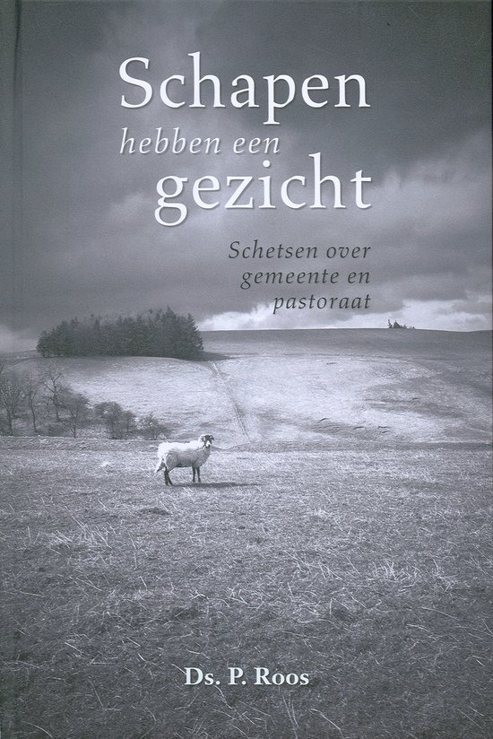 Schapen Hebben Een Gezicht