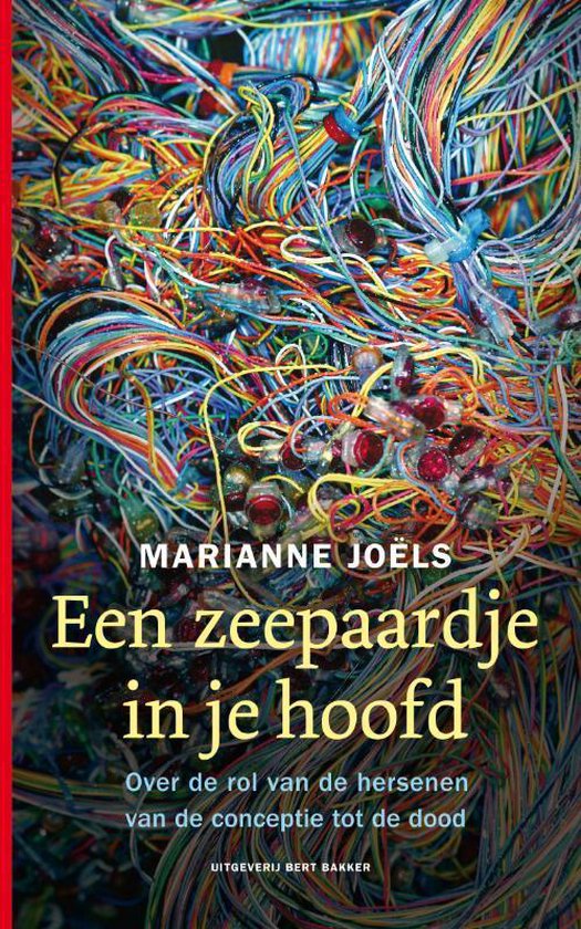 Een zeepaardje in je hoofd