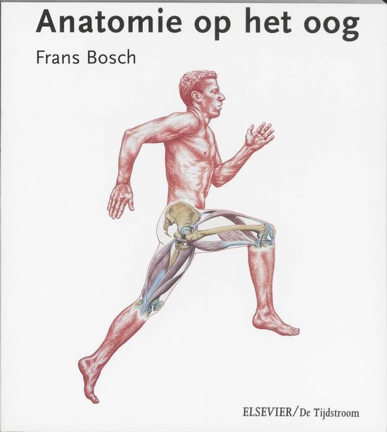 Anatomie op het oog