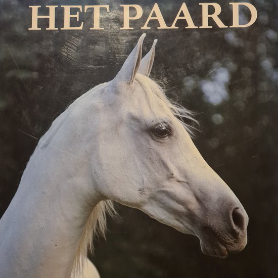 HET PAARD