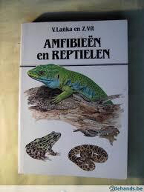 Amfibieën en reptielen