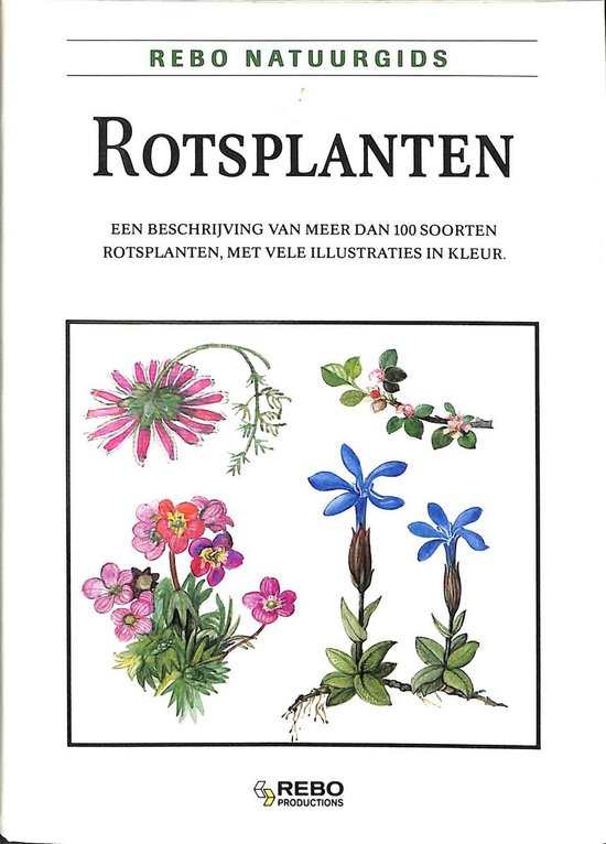 Rotsplanten