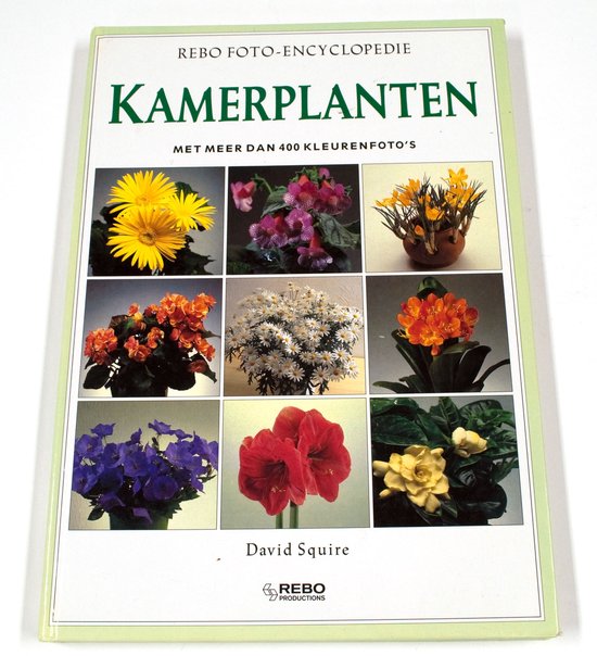 KAMERPLANTEN FOTO ENCYCLOPEDIE