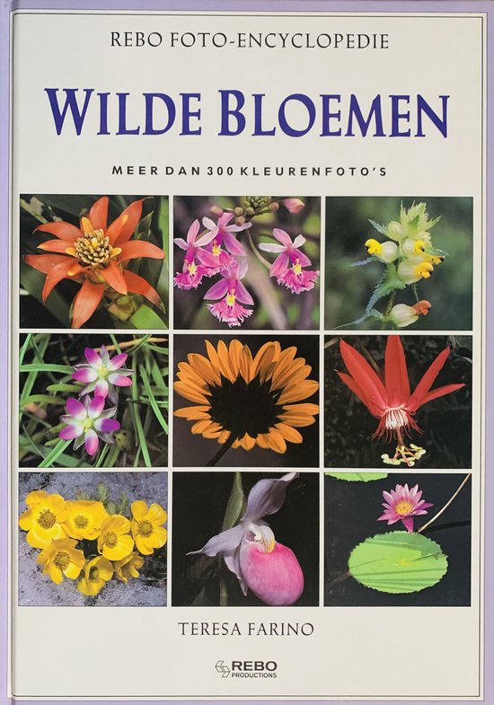 WILDE BLOEMEN