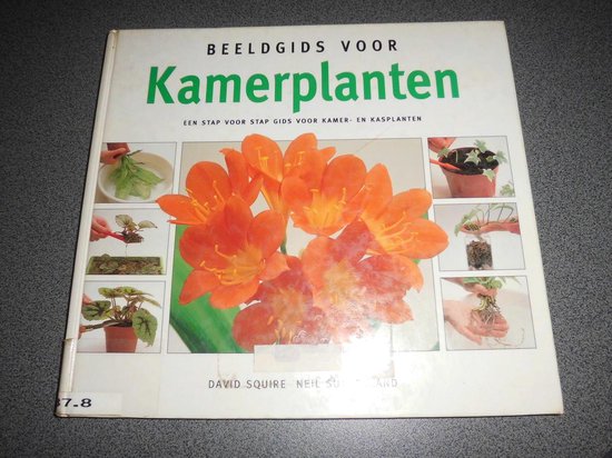 BEELDGIDS VOOR KAMERPLANTEN