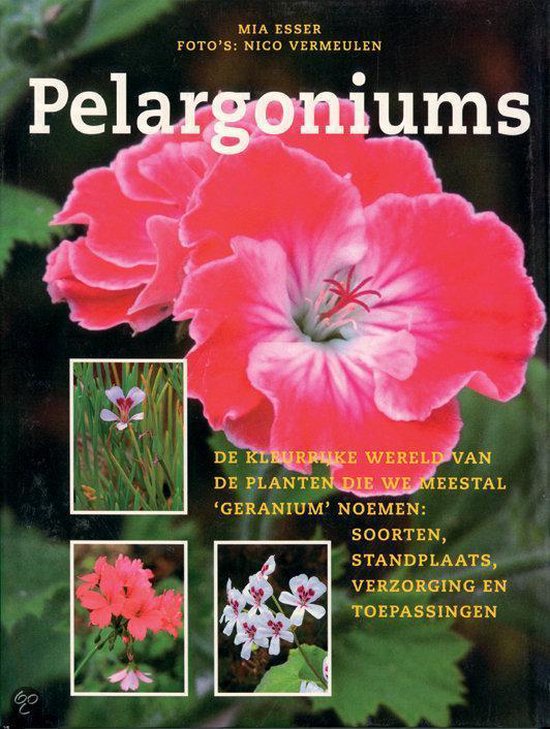 Pelargoniums