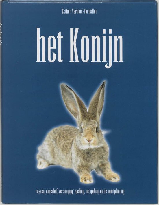 Konijn