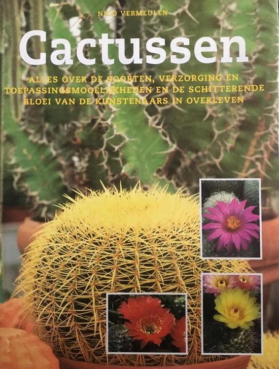 Cactussen