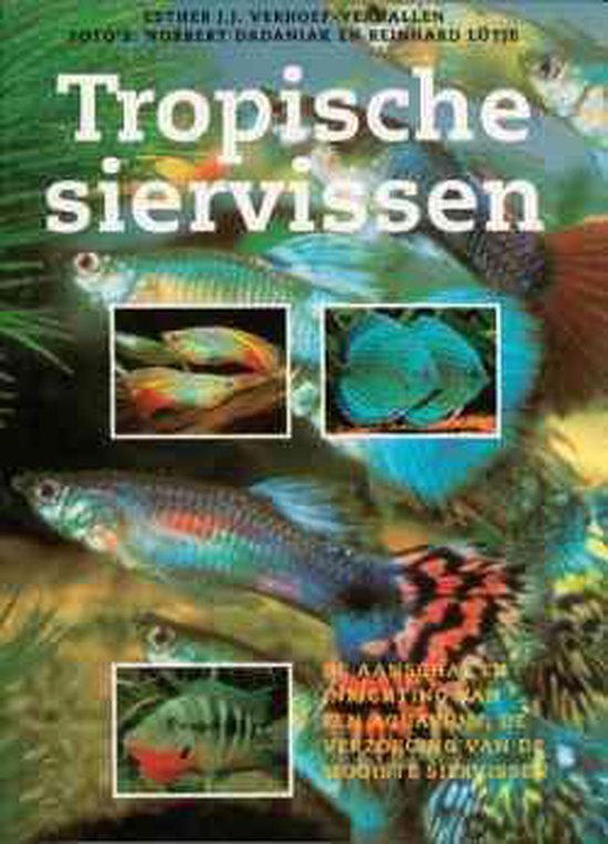 Tropische Siervissen