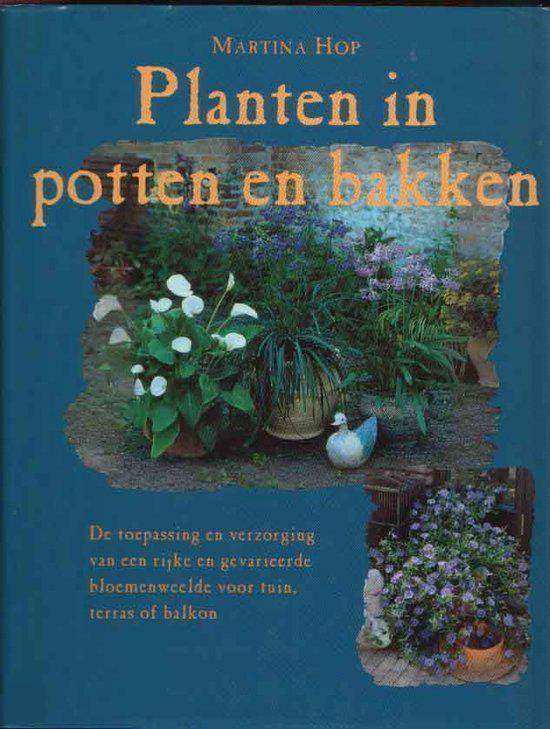 Planten In Potten En Bakken