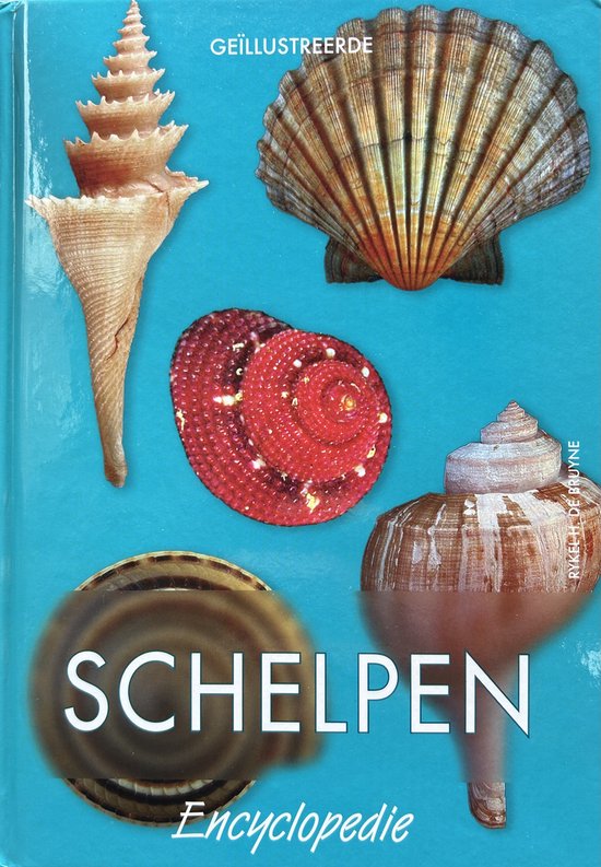 Schelpen encyclopedie