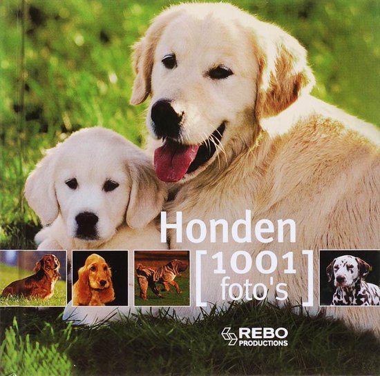 Honden