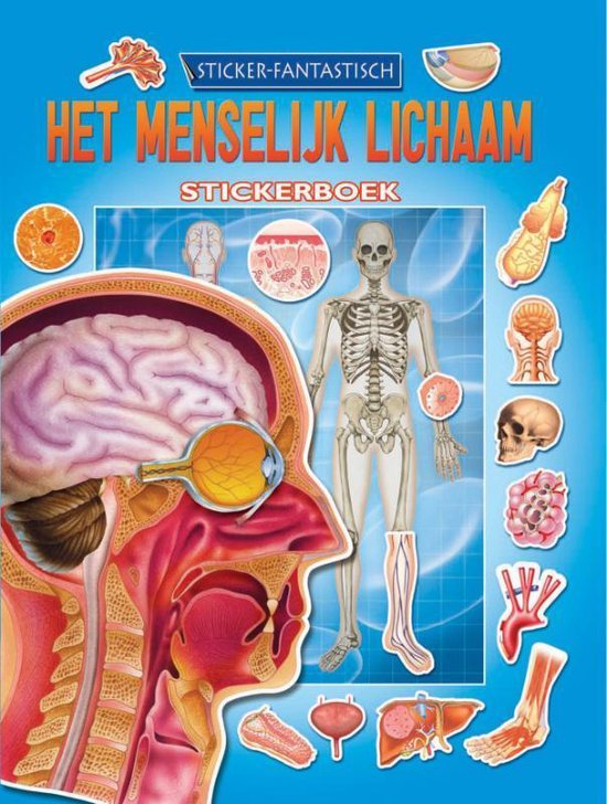 Menselijk lichaam stickerboek