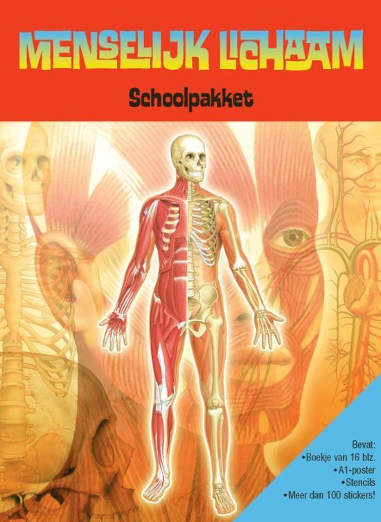 Menselijk Lichaam Schoolpakket