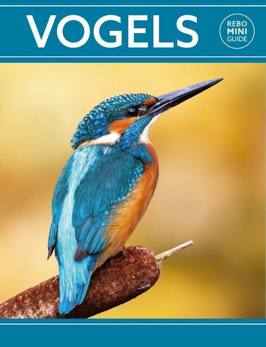 Rebo mini guide - Rebo mini guide - Vogels