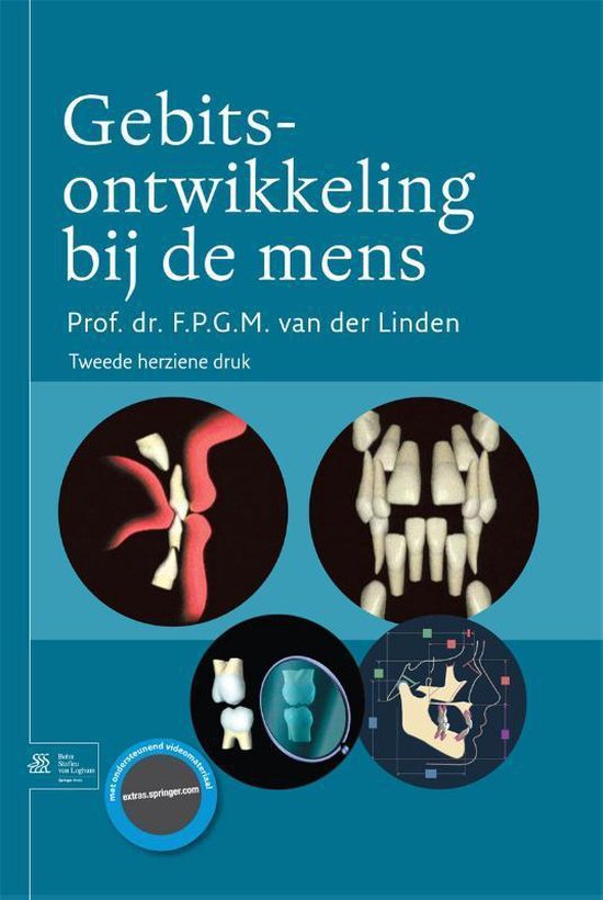 Gebitsontwikkeling bij de mens