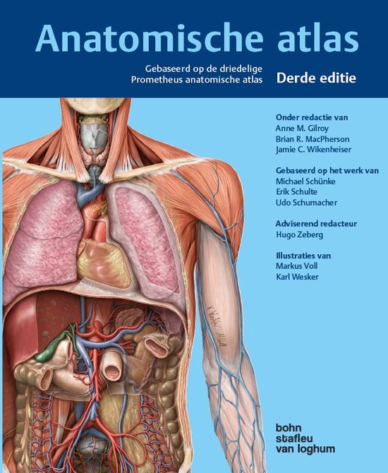 Anatomische Atlas