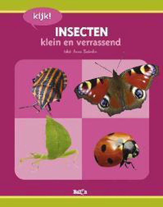 Kijk! Insecten Klein En Verrassend