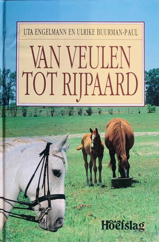 Van veulen tot rijpaard