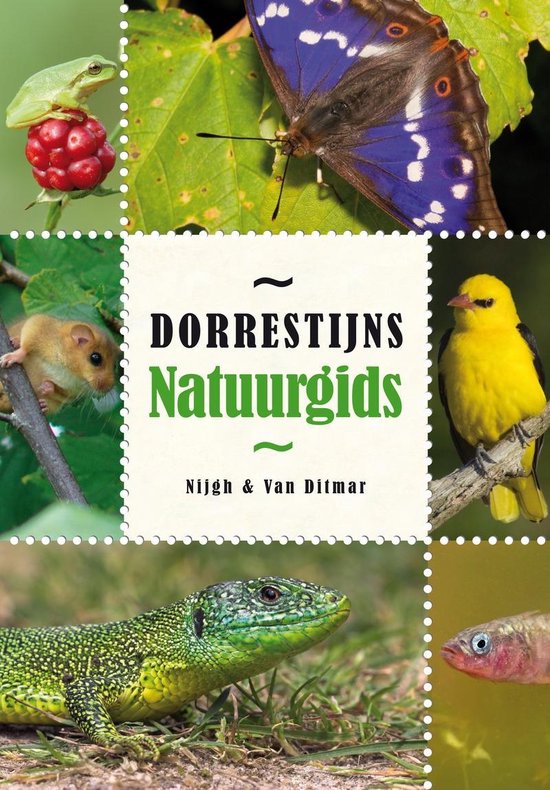 Dorrestijns natuurgids