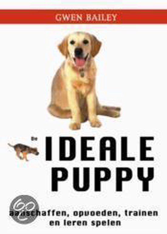 Ideale Puppy