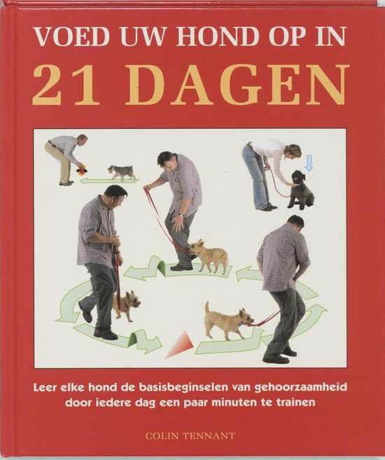 Voed Uw Hond Op In 21 Dagen