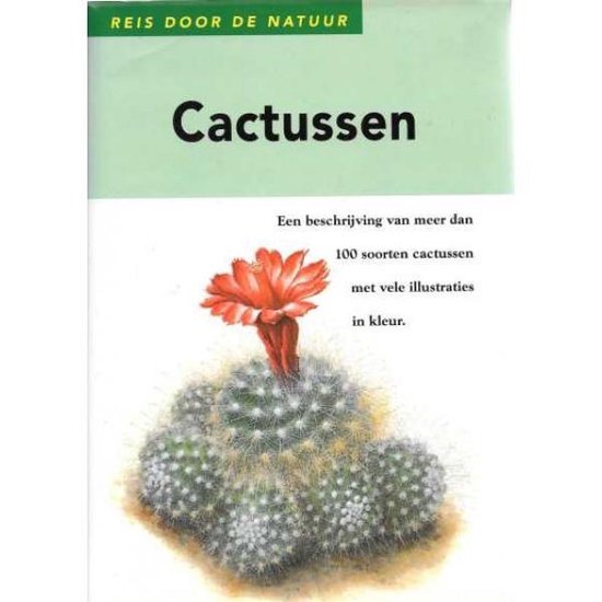 Cactussen