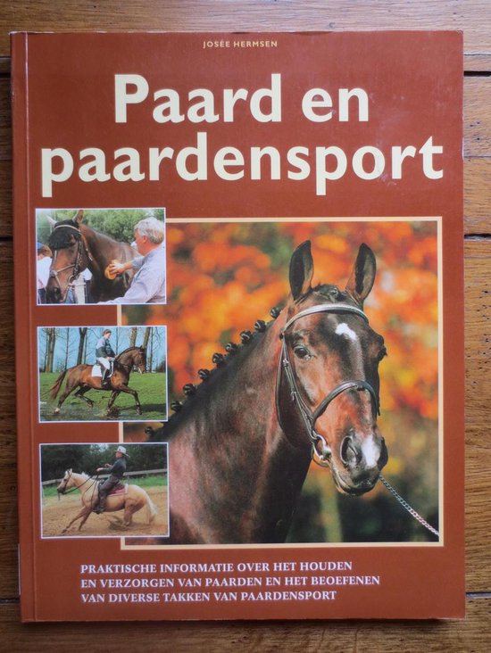 Paard en paardensport