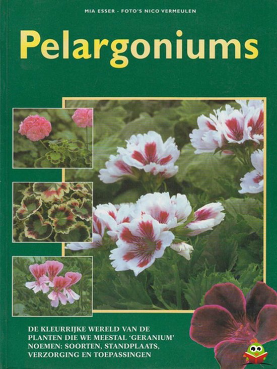 Pelargoniums