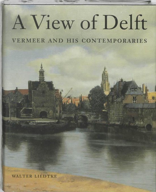 View of the Delft