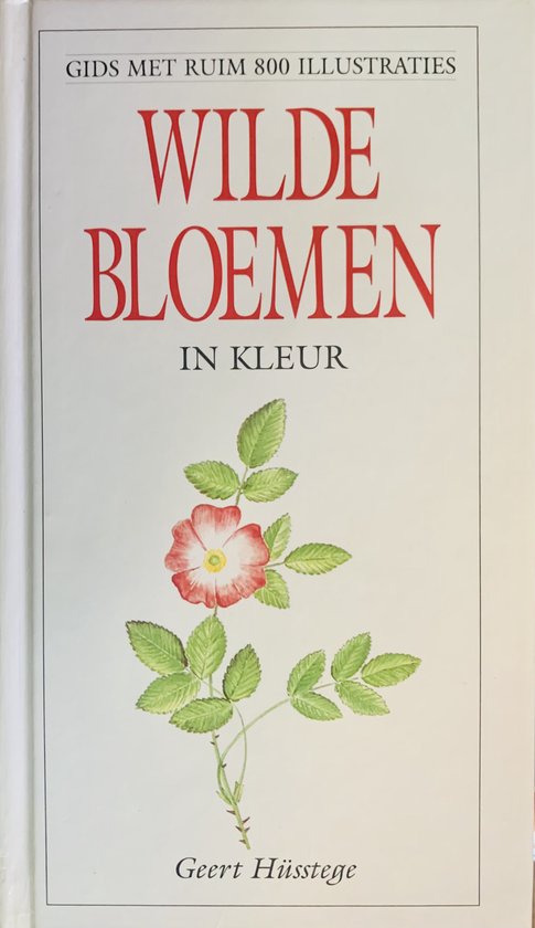 WILDE BLOEMEN IN KLEUR