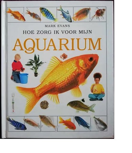 Hoe Zorg Ik Voor Mijn Aquarium