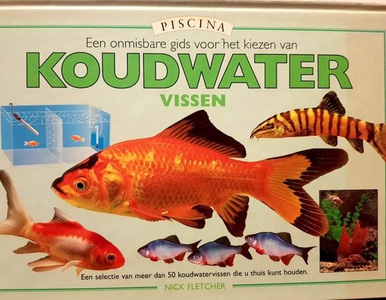 Een onmisbare gids voor het kiezen van koudwateraquariumvissen