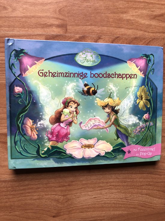 GEHEIMZINNIGE BOODSCHAPPEN - DISNEY FAIRIES