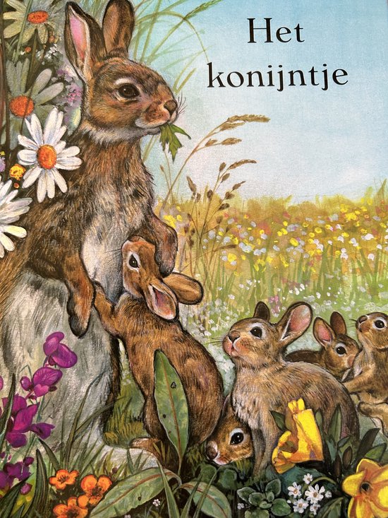 Speurtocht naar het Konijntje (prentenboek)