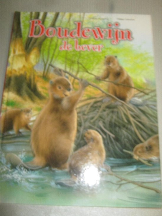 BOUDEWIJN DE BEVER