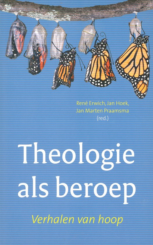 Theologie als beroep