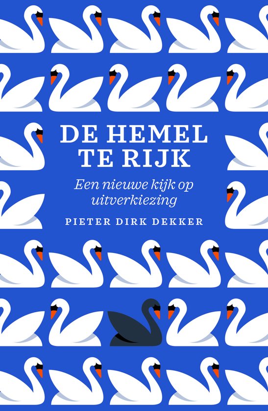 De hemel te rijk