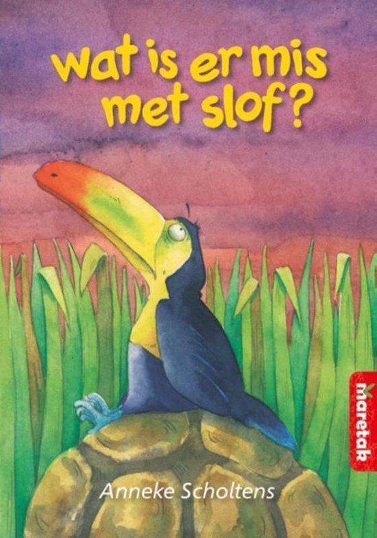 Boemerang - Wat is er mis met Slof?