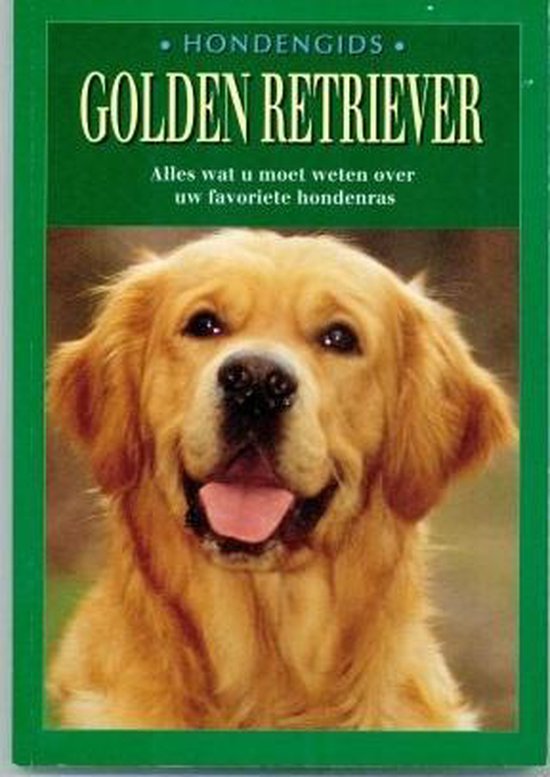 Golden retriever