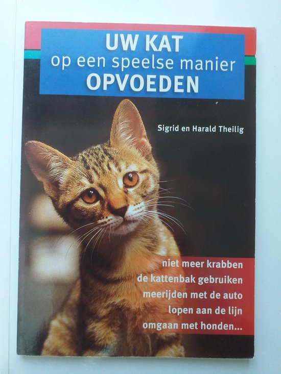 Uw kat op een speelse manier opvoeden