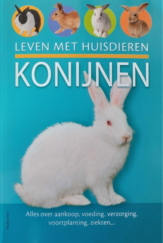 Leven met huisdieren - Konijnen