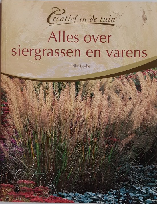 Alles over siergrassen en varens